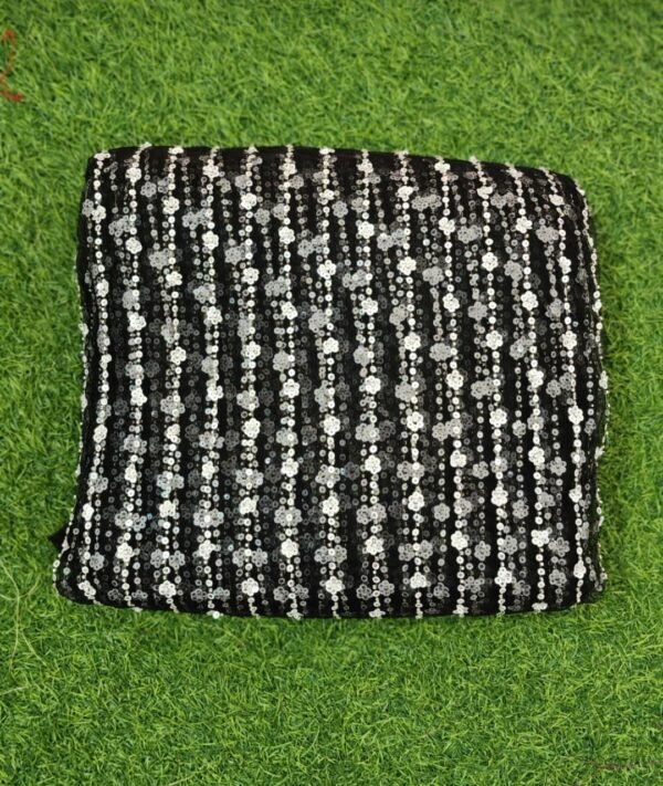 Net Fabric With Allover Sequence And Kardana